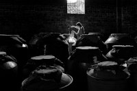 129 - WINE LIBRARY - MO ZHIGANG - china <div